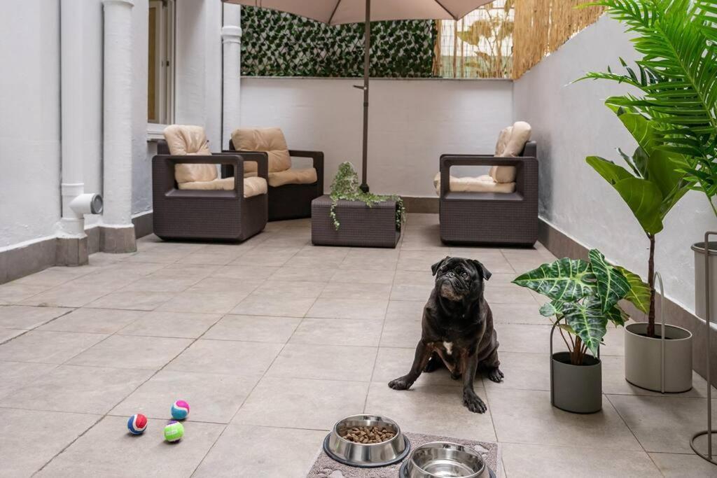 El Patio De Schulz Apartment Gijon Ngoại thất bức ảnh